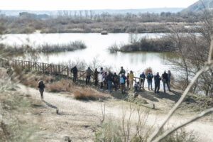 023 20220205 observacion aves miralrío