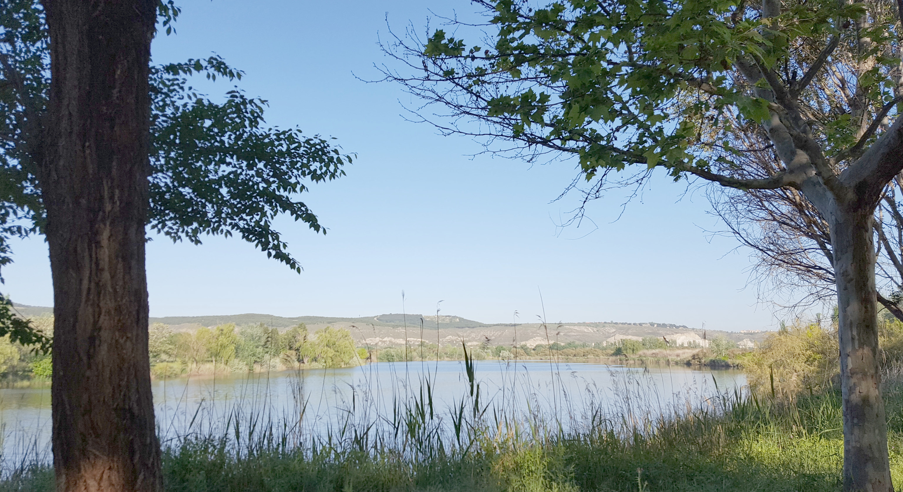 El Ayuntamiento ha conseguido que se realice un estudio integral de la Laguna El Raso que financiará la CAM