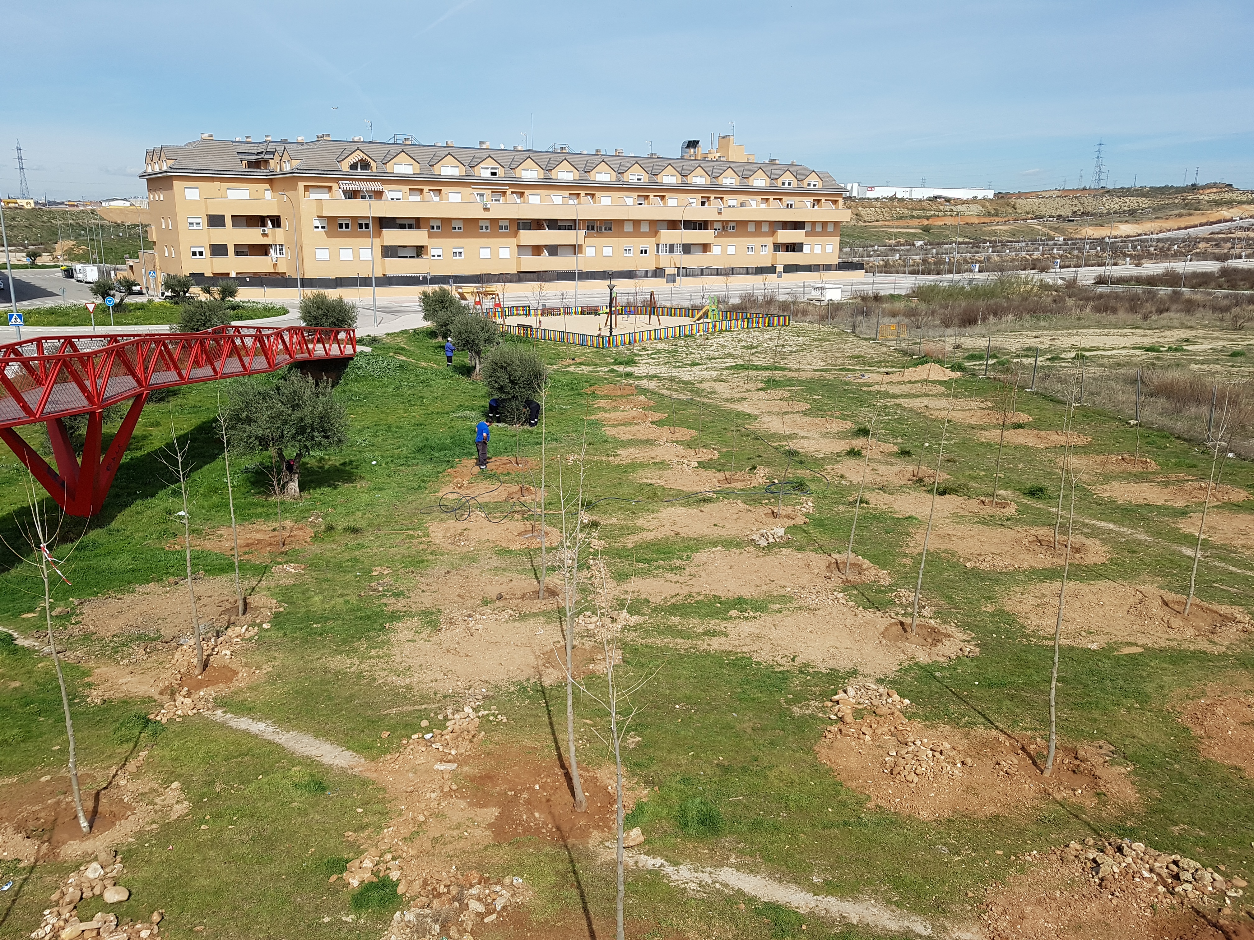 El Ayuntamiento de Velilla realiza una plantación de árboles en el Sector XXIII