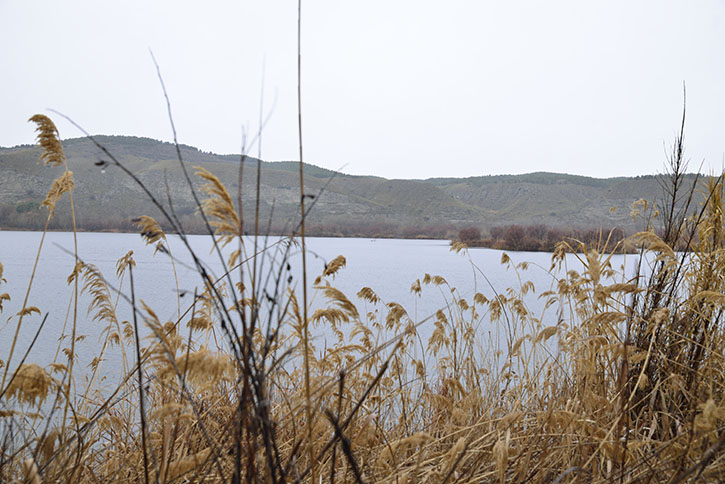 La visita guiada a las lagunas de Velilla se ha pospuesto para el mes de abril