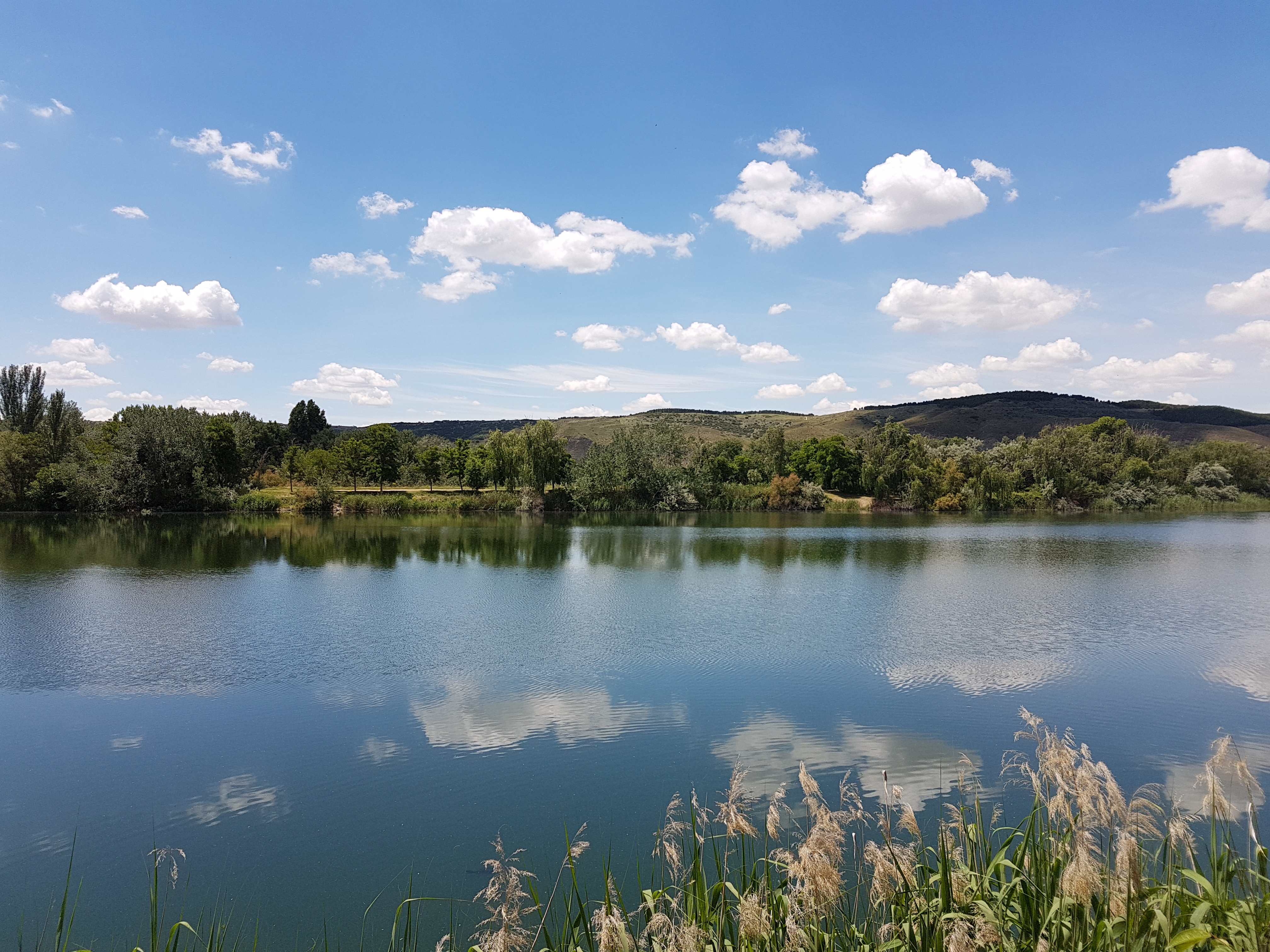 El Ayuntamiento de Velilla logra que la Comunidad de Madrid realice nuevas actuaciones en las lagunas Miralrío y El Raso