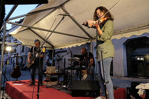 Buena acogida del I Festival de Cerveza Artesana Velilla de San Antonio