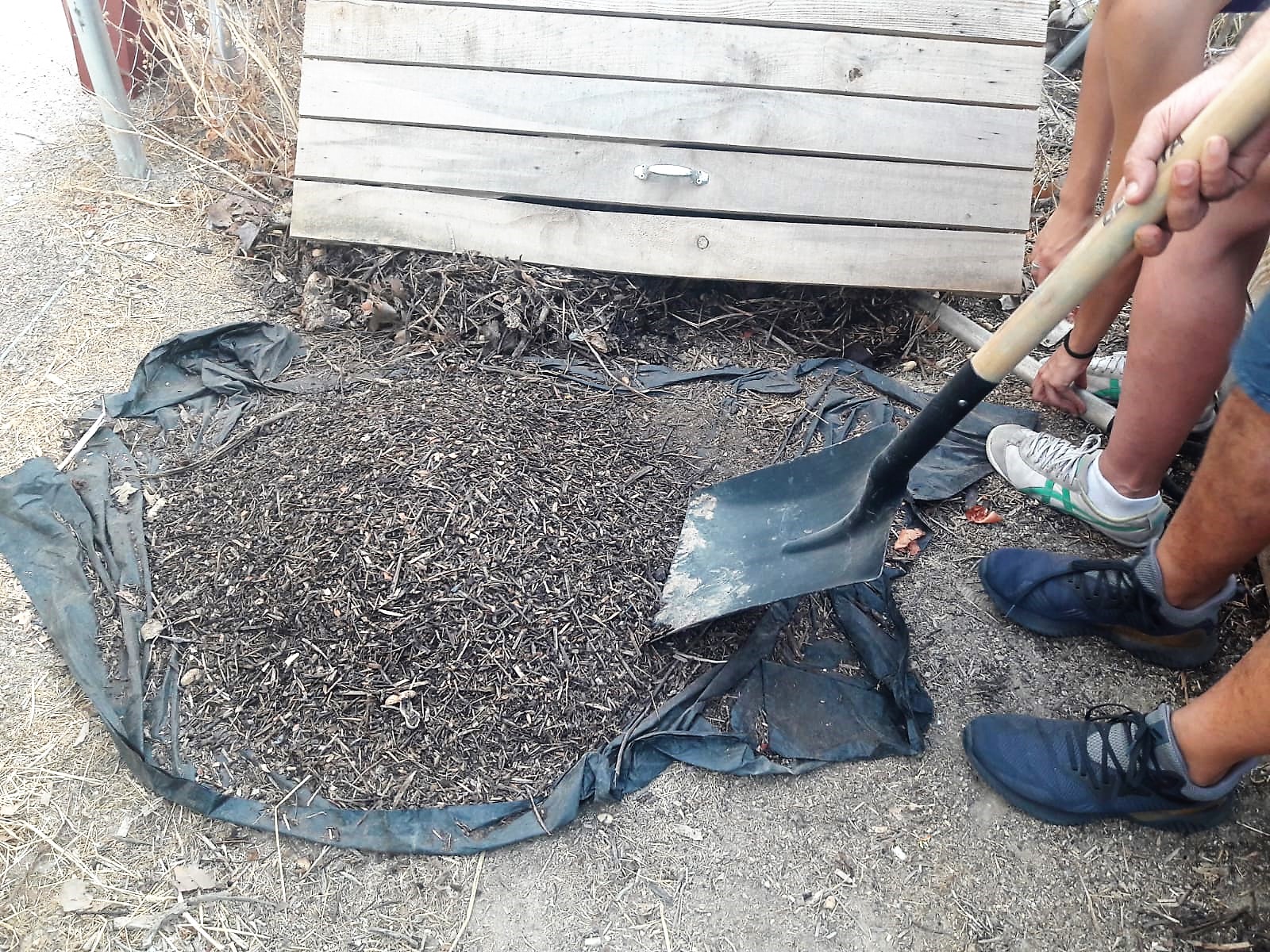 Los participantes en el programa Residuos Cero han obtenido su segunda cosecha de compost