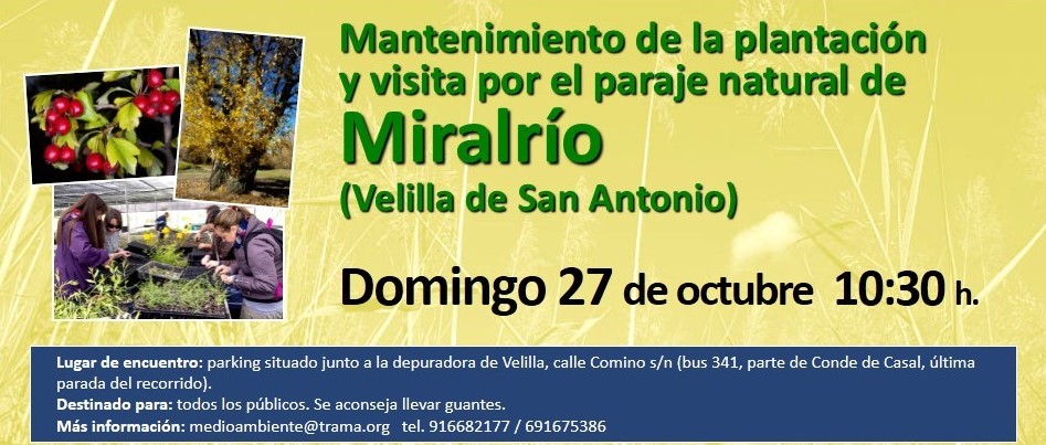 Mantenimiento de plantación y visita paraje Miralrío