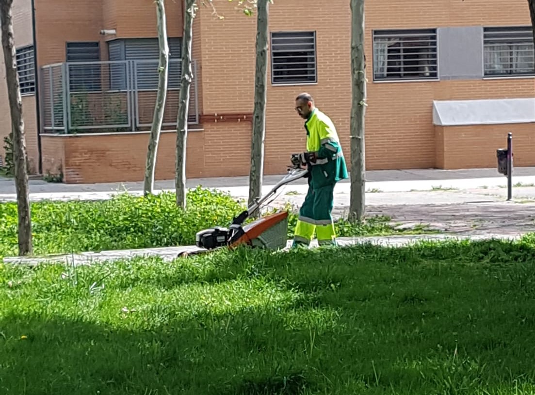 El Área de Parques y Jardines retomó su actividad este lunes