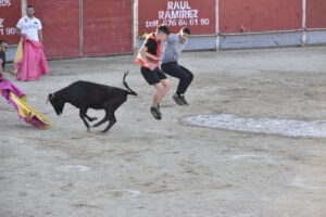 2022 Tarde de peñas y vacas