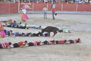 2022 Tarde de peñas y vacas