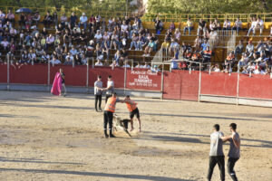 2022 Tarde de peñas y vacas