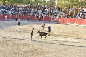 2022 Tarde de peñas y vacas