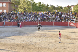 2022 Tarde de peñas y vacas