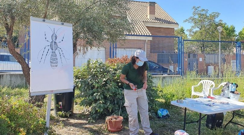 El Ayuntamiento ha comenzado a impartir los talleres sobre el mosquito tigre en los centros educativos del municipio