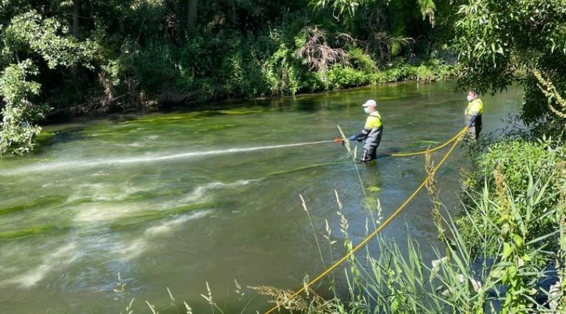 El Ayuntamiento destina 20.000 euros al control de la mosca negra