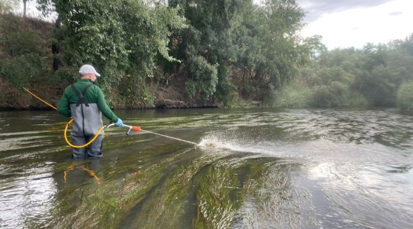 Continuamos con los tratamientos para combatir la mosca negra