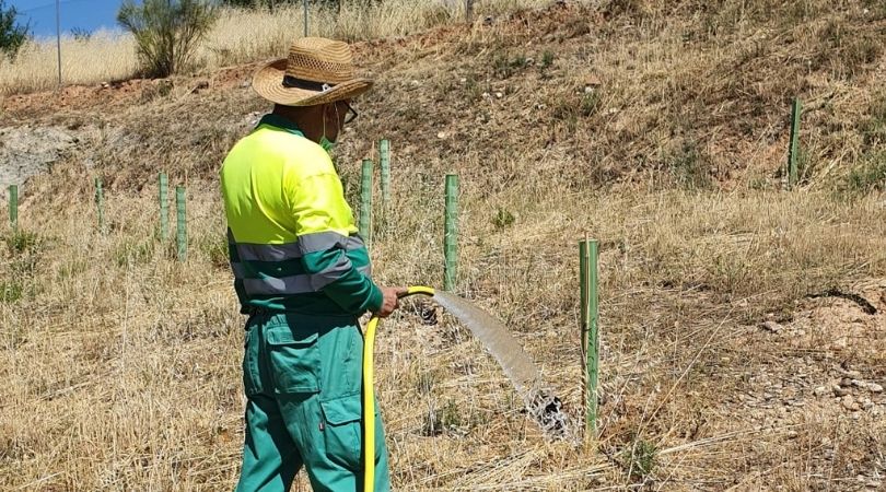 Ayer y hoy se está llevando a cabo el riego de las plantaciones de la nueva zona forestal en el sector XXIII