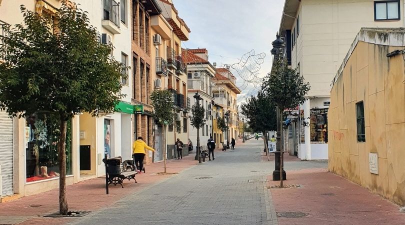 Seguimos plantando árboles para reponer los daños de Filomena