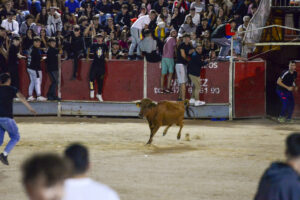 2022 Suelta vaquillas viernes noche