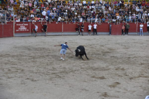 2022 Concurso de recortadores aficionados