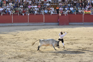 2022 Concurso de recortadores aficionados