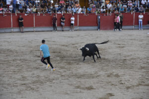 2022 Concurso de recortadores aficionados