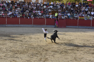 2022 Concurso de recortadores aficionados