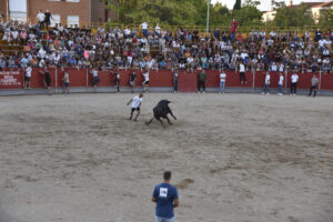 2022 Concurso de recortadores aficionados