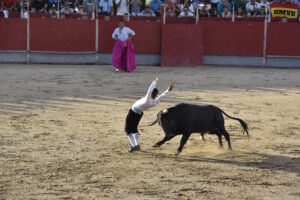 2022 Concurso de recortadores aficionados