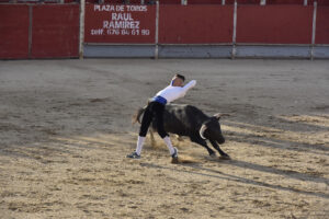 2022 Concurso de recortadores aficionados