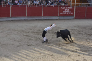 2022 Concurso de recortadores aficionados