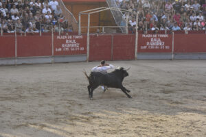 2022 Concurso de recortadores aficionados