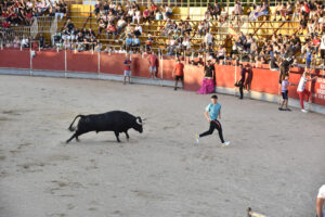 2022 Concurso de recortadores aficionados