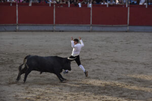 2022 Concurso de recortadores aficionados