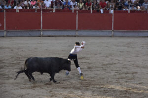 2022 Concurso de recortadores aficionados