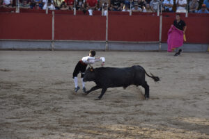 2022 Concurso de recortadores aficionados