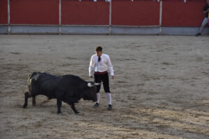 2022 Concurso de recortadores aficionados