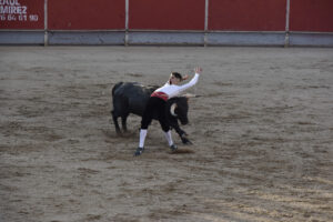 2022 Concurso de recortadores aficionados