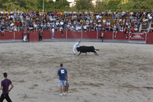 2022 Concurso de recortadores aficionados