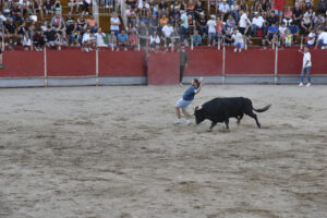 2022 Concurso de recortadores aficionados