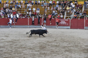 2022 Concurso de recortadores aficionados