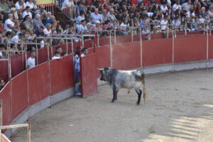 2022 Concurso de recortadores aficionados