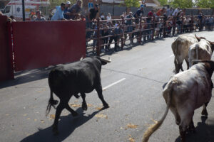 2022 Encierros sábado