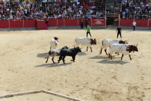 2022 Encierros sábado