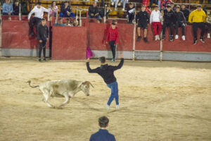 2022 Suelta vaquillas domingo noche