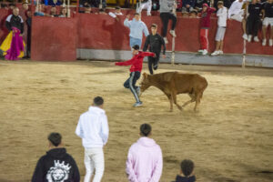 2022 Suelta vaquillas domingo noche