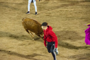 2022 Suelta vaquillas domingo noche