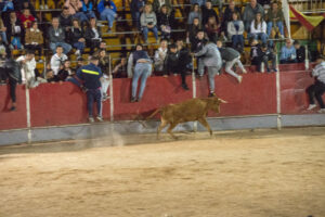 2022 Suelta vaquillas domingo noche