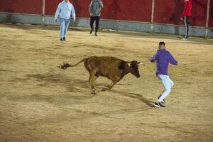 2022 Suelta vaquillas domingo noche