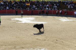 2022 Encierros lunes