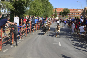 2022 Encierros lunes