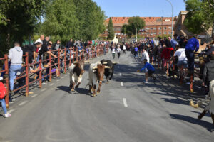 2022 Encierros lunes