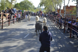 2022 Encierros lunes